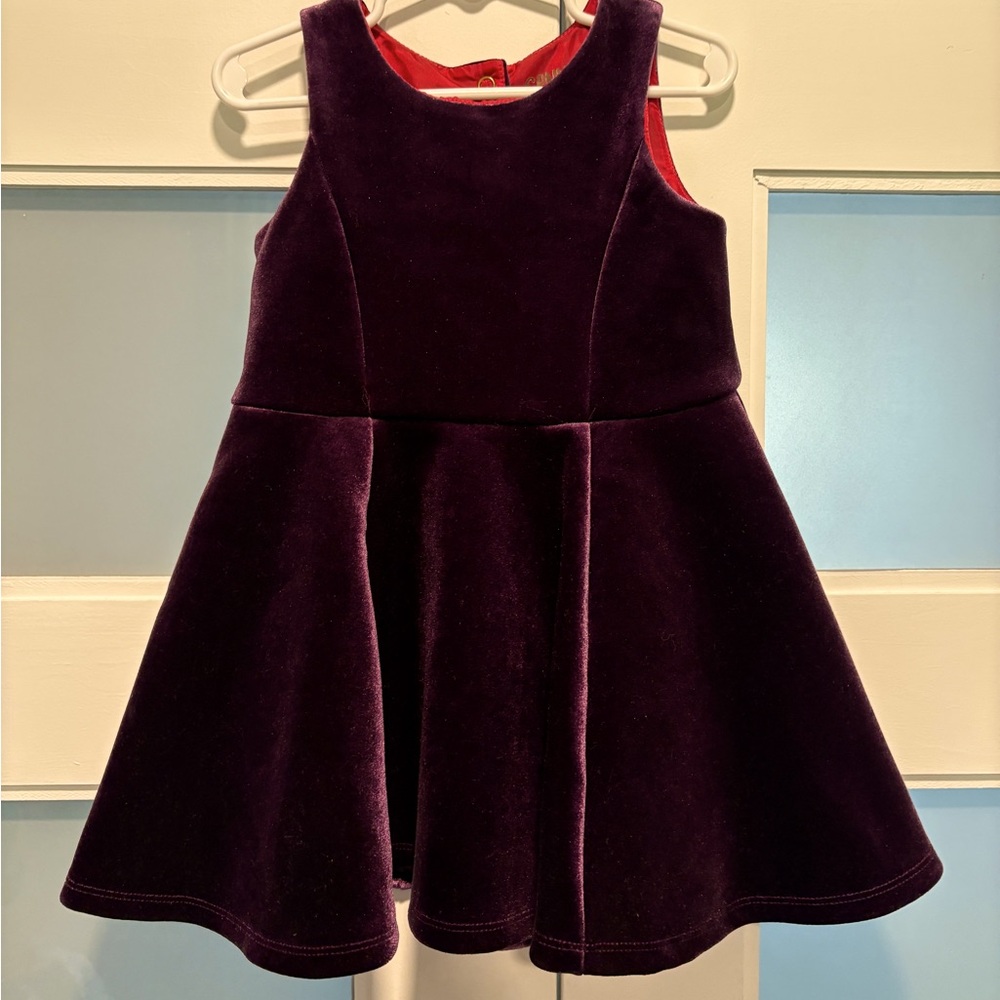 OshKosh B'gosh purple Velvet Dress